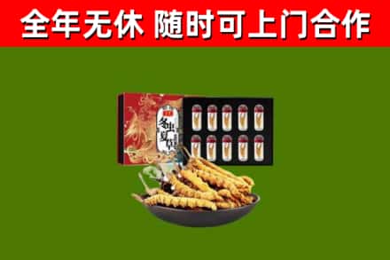 云阳县回收冬虫夏草价格