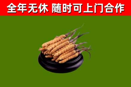 云阳县烟酒回收冬虫夏草.jpg