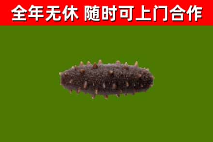 云阳县烟酒回收干海参.jpg